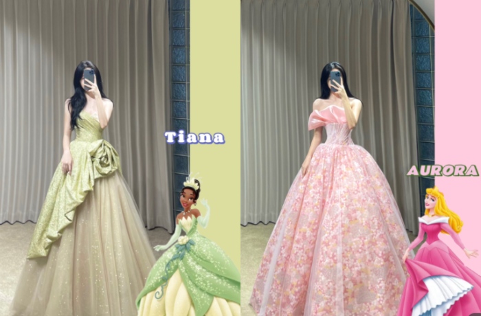 Disney-Princess-Wedding-Dress-Ideas